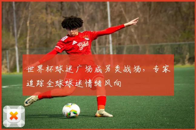 世界杯球迷广场成另类战场，专家追踪全球球迷情绪风向