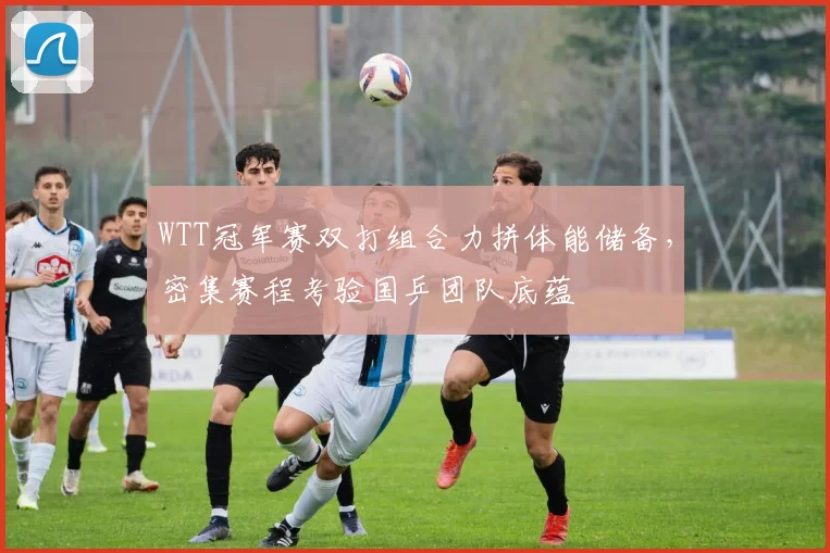 WTT冠军赛双打组合力拼体能储备，密集赛程考验国乒团队底蕴