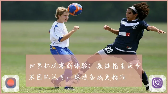 世界杯观赛新体验：数据指南获专家团队认可，球迷备战更精准