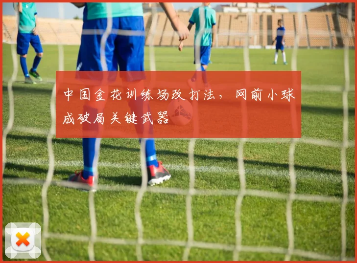 中国金花训练场改打法，网前小球成破局关键武器