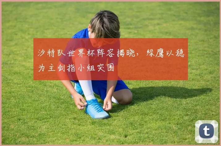 沙特队世界杯阵容揭晓，绿鹰以稳为主剑指小组突围