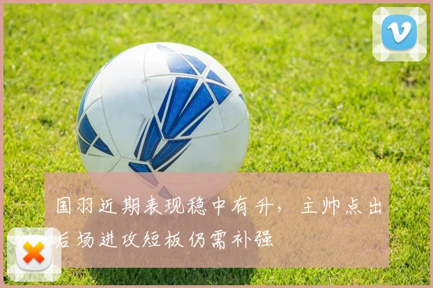 国羽近期表现稳中有升，主帅点出后场进攻短板仍需补强